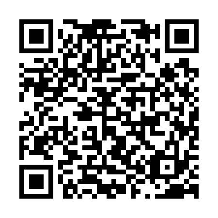 QR code for L81733