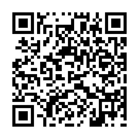 QR code for L84313