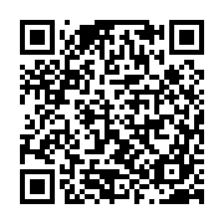 QR code for L85167