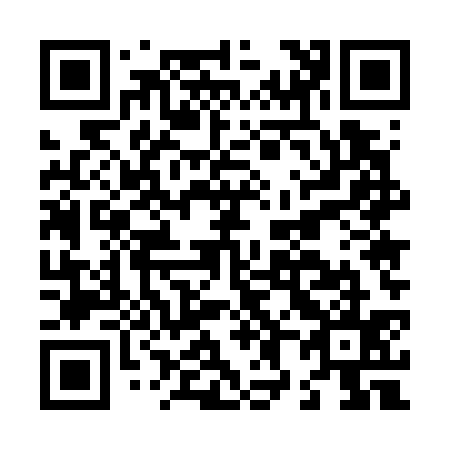 QR code for L85735