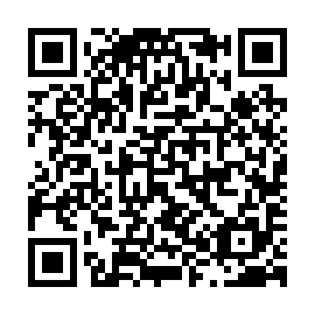 QR code for L86295
