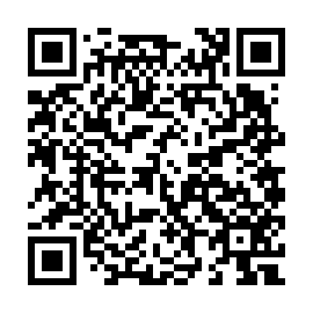 QR code for L86656