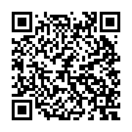 QR code for L87205