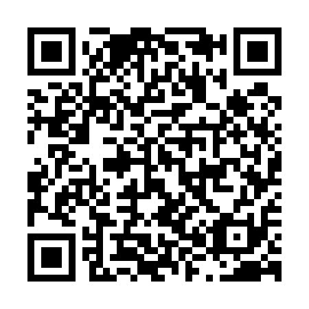 QR code for L87511