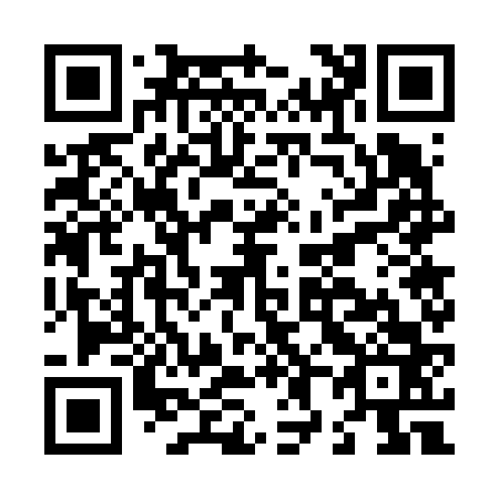 QR code for L87663