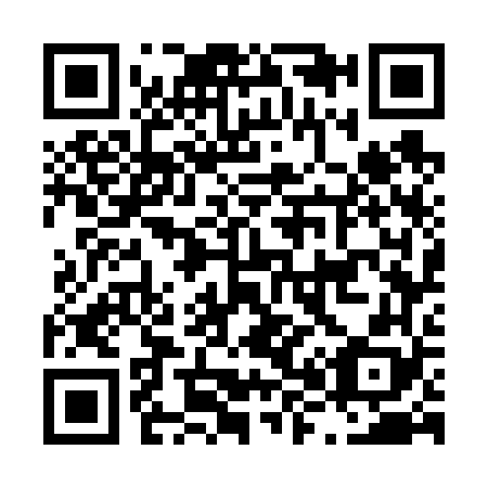QR code for L87668