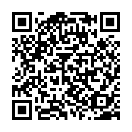 QR code for L87838