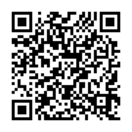 QR code for L89313