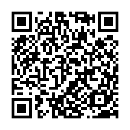 QR code for L91565