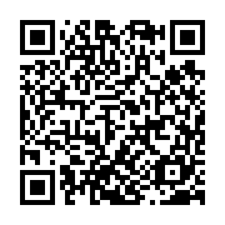 QR code for L91665