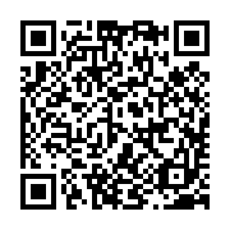 QR code for L92493
