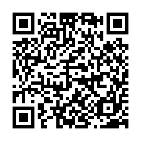 QR code for L93217