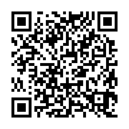 QR code for L93381