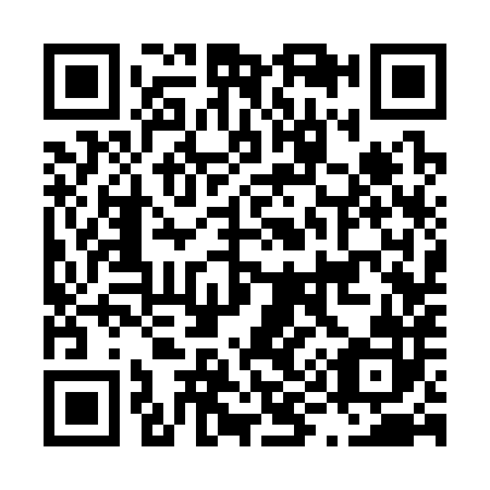 QR code for L93382