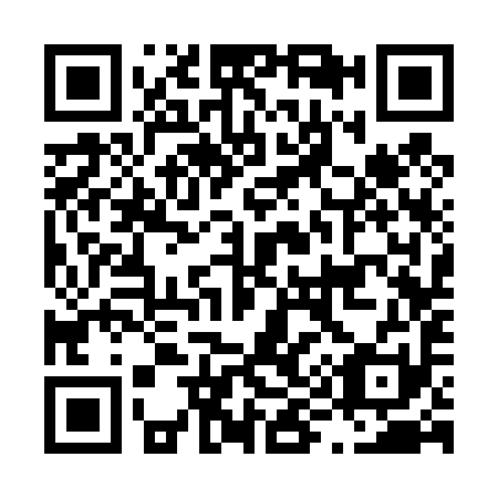QR code for L93491