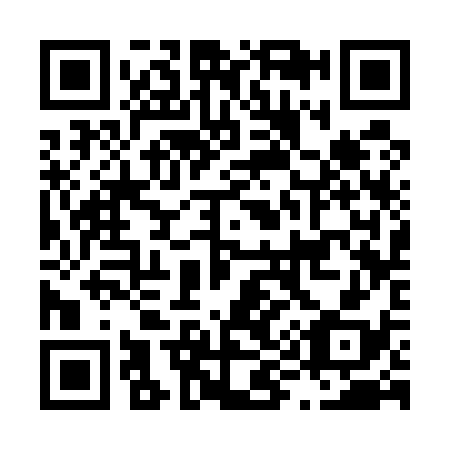 QR code for L93538