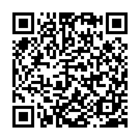 QR code for L95103