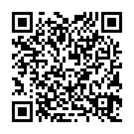 QR code for L95125