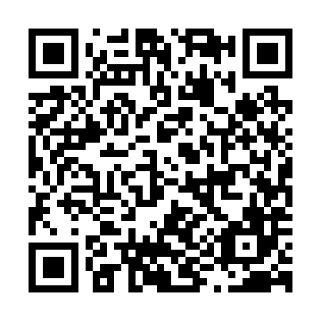 QR code for L95286
