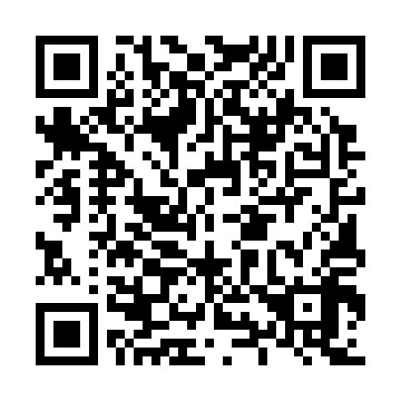 QR code for L95318