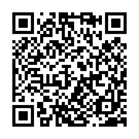 QR code for L95493