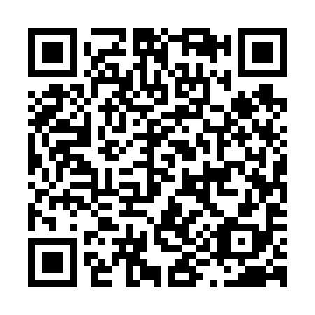 QR code for L95698
