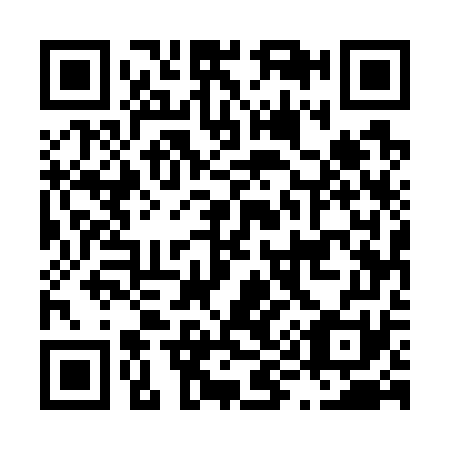 QR code for L95771