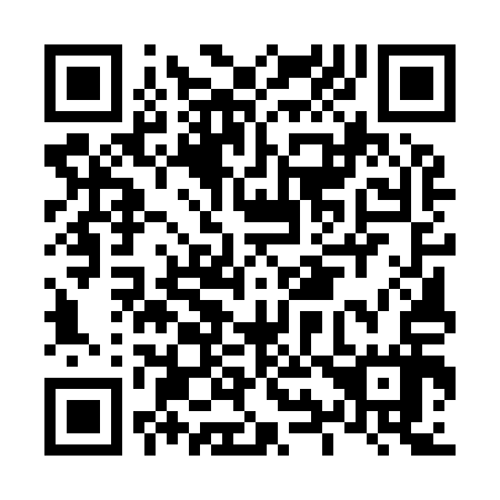 QR code for L95917