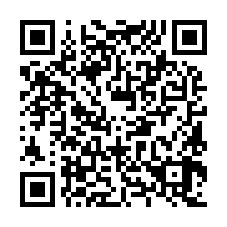 QR code for L95988
