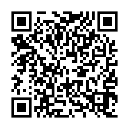 QR code for L96113