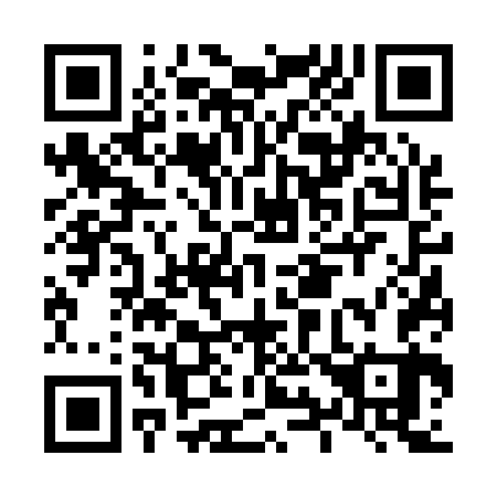QR code for L96163