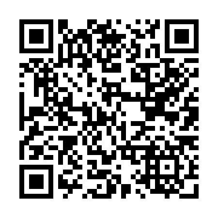 QR code for L96387