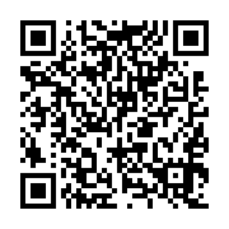 QR code for L96655
