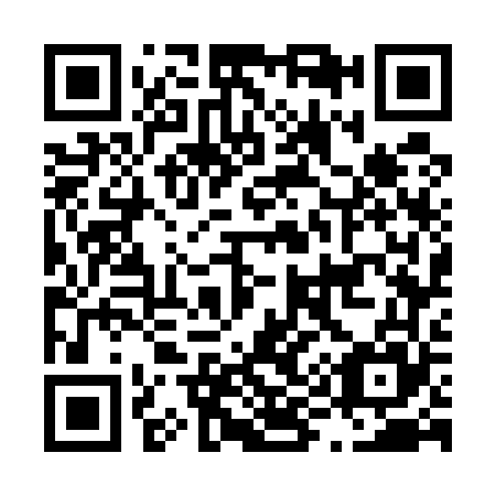 QR code for L97565