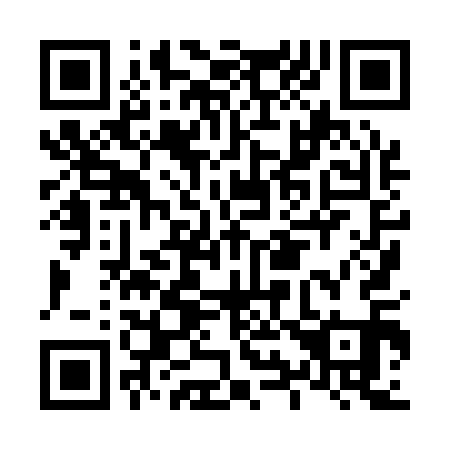 QR code for L98111