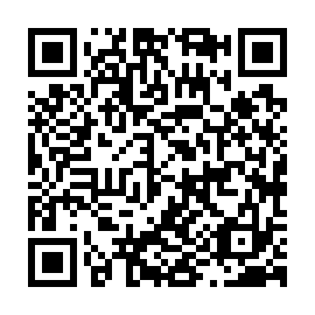 QR code for L98733