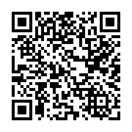 QR code for L99394