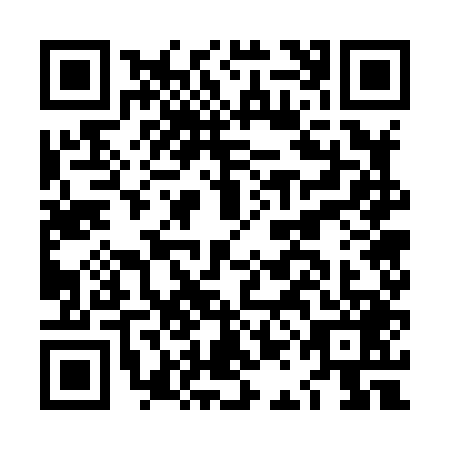 QR code for LAG-8493