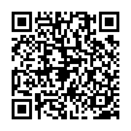 QR code for LAG6416