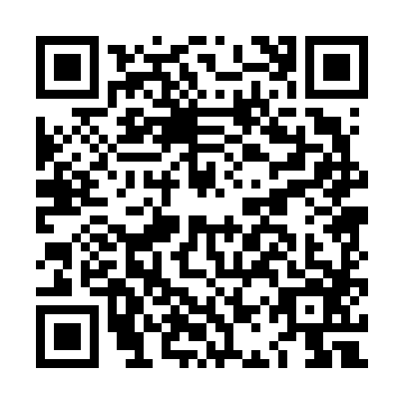 QR code for LAP-6863
