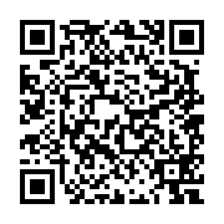 QR code for LBB-4994