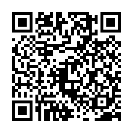 QR code for LFI0919