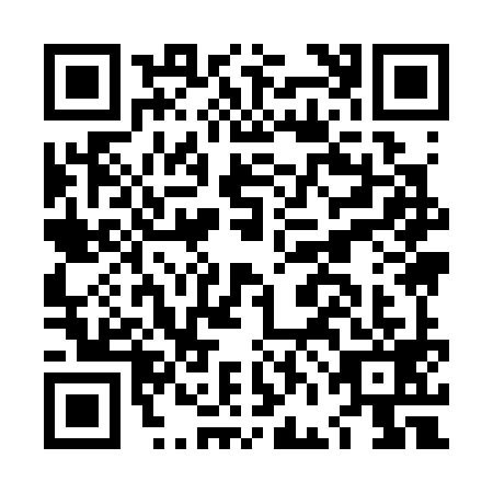 QR code for plate LFI-3999