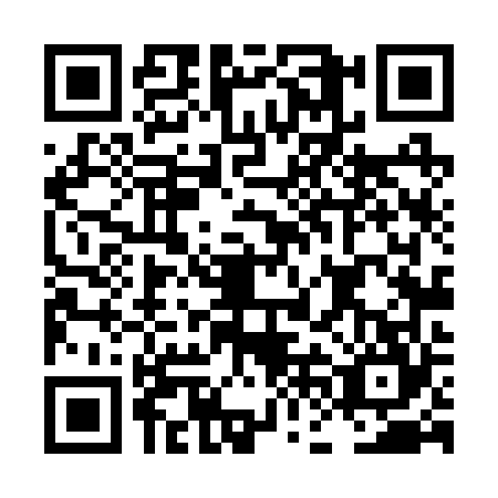 QR code for plate LFL-2641