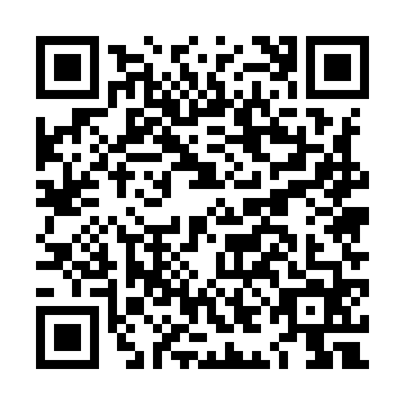 QR code for LIE-9641