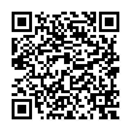 QR code for LJY9993