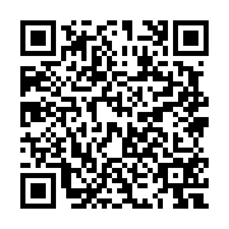 QR code for plate LKI-4541