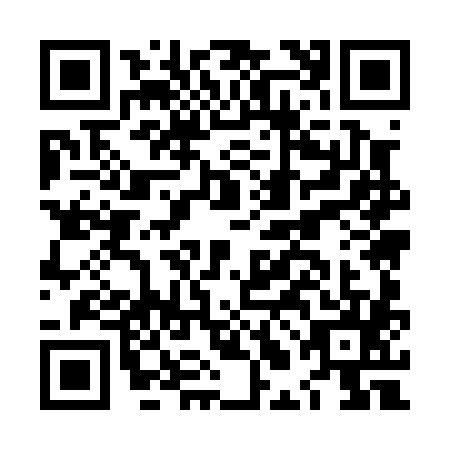 QR code for plate LLM-0855