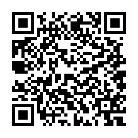 QR code for LLV5153