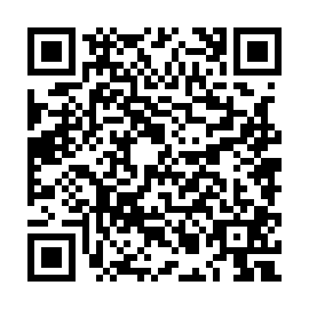 QR code for LMN1010